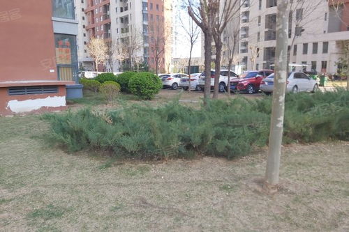 金海城綜合評價 優勢、不足與周邊中介服務分析