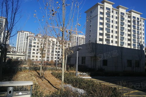 山水天成 秦皇島海港區的宜居之選與理性審視