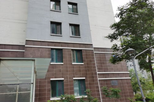 華泰國際豪園公寓住宅深度解析 優(yōu)點(diǎn)、不足與市場評(píng)價(jià)