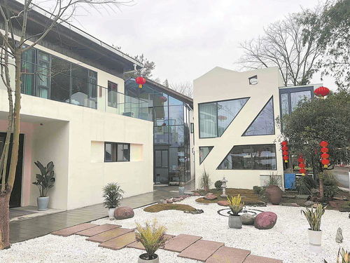 舊農房蝶變精品民宿 家門口的增收就業新引擎